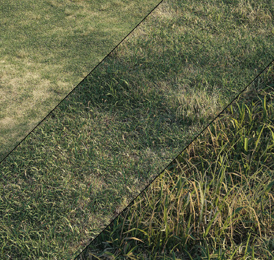 草地3D模型（OBJ,MAX）