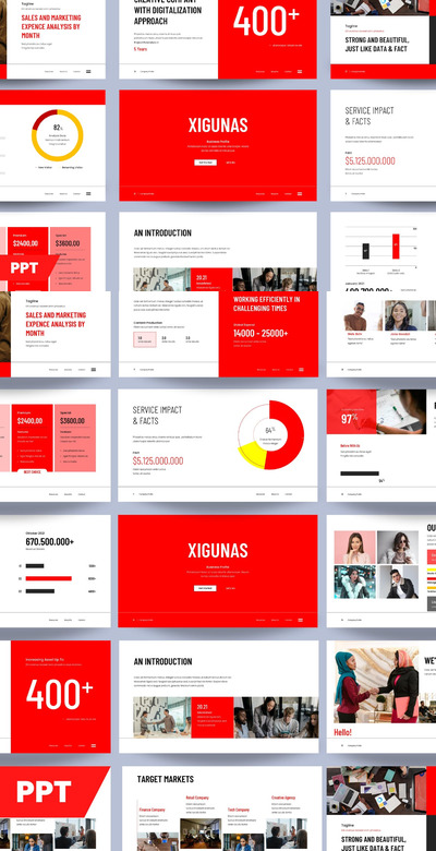 数字业务简介演示ppt模板 (PPT,PPTX)