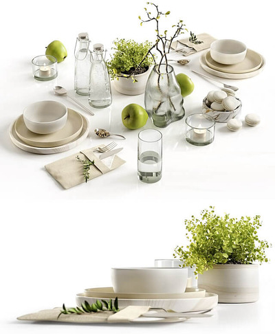 包含餐具 玻璃瓶中的花枝 马卡龙 烛台 苹果 绿植盆景的装饰组合3D模型（OBJ,MAX）