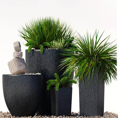 黑色装饰花盆中的绿植盆景组合3D模型（OBJ,FBX,MAX）