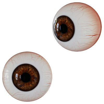 眼球 装饰品3D模型（OBJ,FBX,MAX）