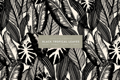 黑白热带树叶白描图案 (AI,EPS,JPG,SVG)