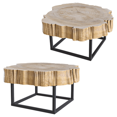 Heerenhuis Manufactuur Poplar树干切面咖啡桌 茶几3D模型（OBJ,FBX,MAX）