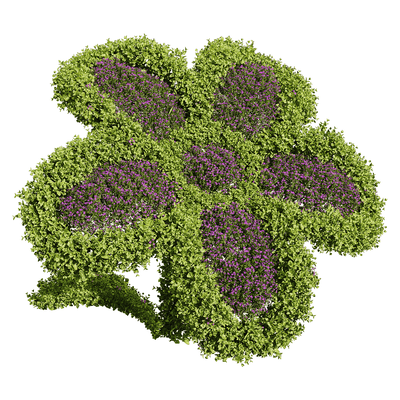 修剪成花朵形状的开满紫色小花的百可花植物景观 园林景观3D模型（OBJ,FBX,MAX）