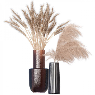 装饰花瓶中的干小麦和干芦苇3D模型（OBJ,FBX,MAX）