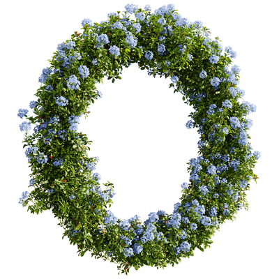 环形蓝雪花植物景观 开满蓝色花朵的蓝雪花花丛3D模型（OBJ,FBX,MAX）