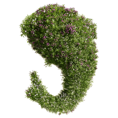 开满花朵的鲸鱼形Viola三色堇植物景观3D模型（OBJ,FBX,MAX）