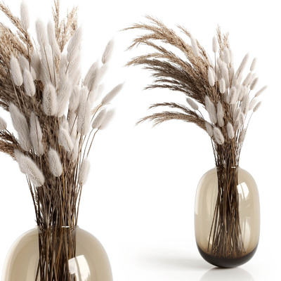 装饰花瓶中的干芦苇草 兔尾草3D模型（OBJ,MAX）