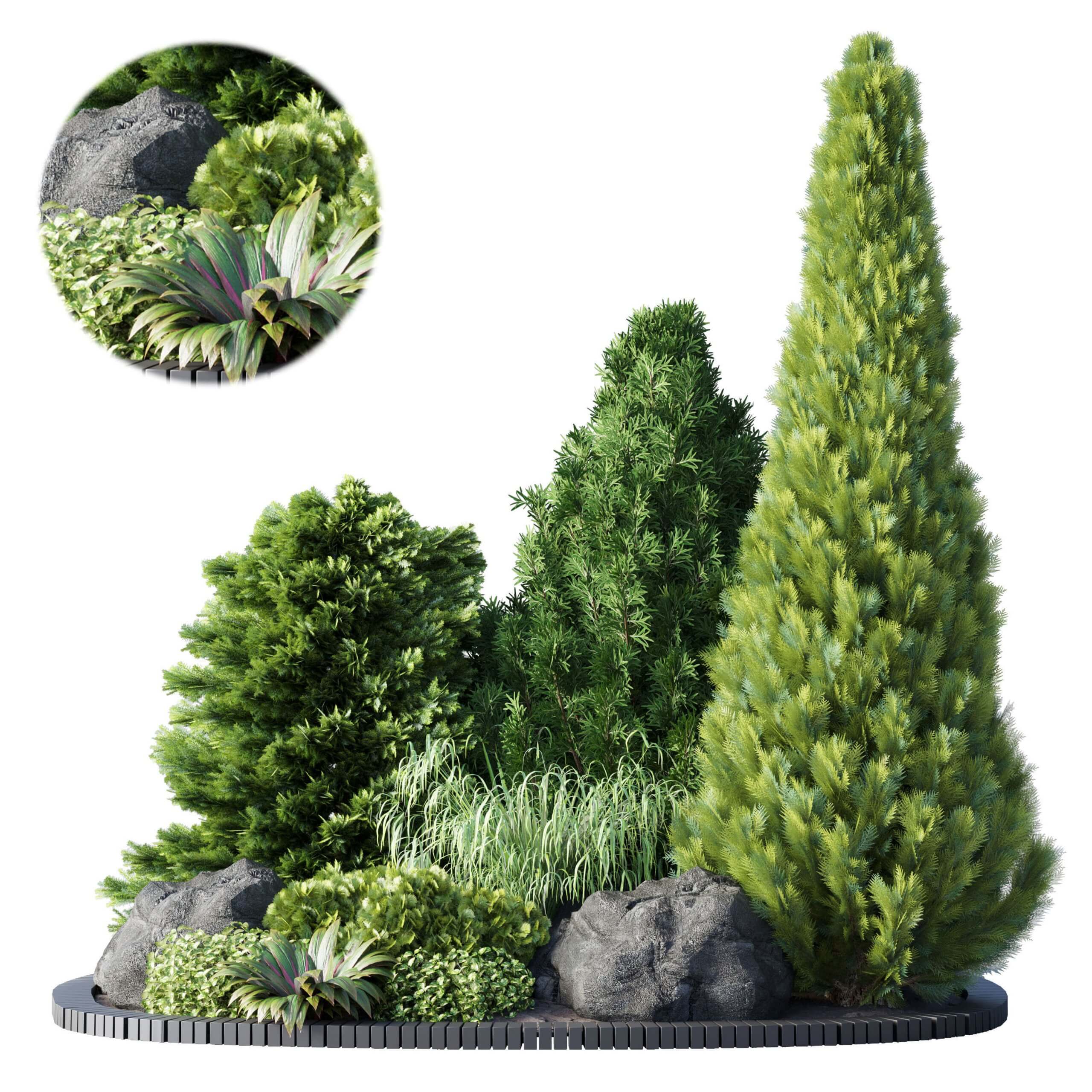 包含金钟柏 薰衣草等的圆形绿植花坛 植物景观3D模型（MAX）