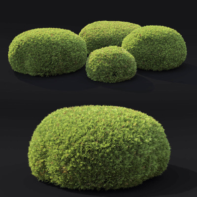 4丛圆柏灌木3D模型（FBX,MAX）