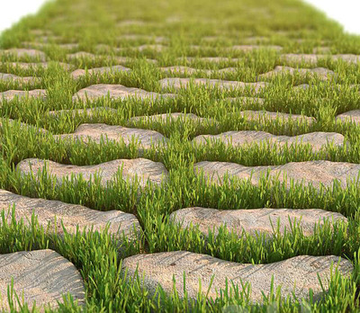 带绿草的装饰石头路3D模型（MAX）
