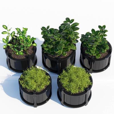 圆形花盆中的天门冬草 花叶万年青等绿植盆景组合3D模型（OBJ,MAX）