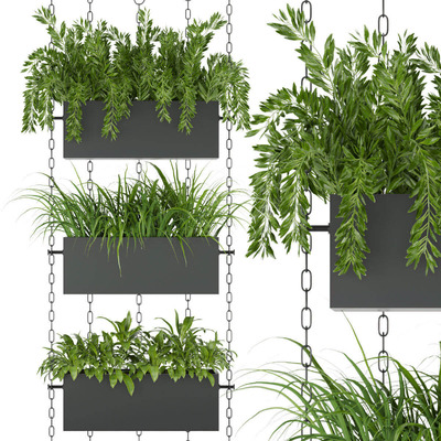 室内绿植吊篮盆景3D模型（OBJ,MAX）