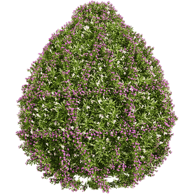 开满花朵的三色堇植物景观3D模型（OBJ,FBX,MAX）