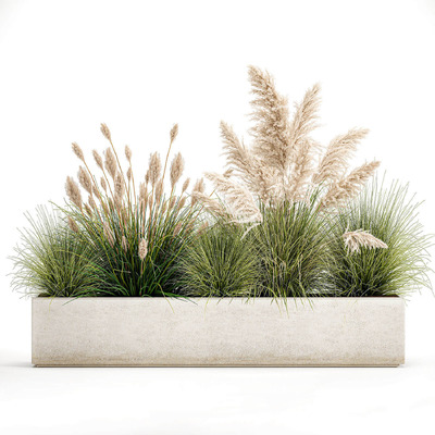 户外芦苇草狐尾草等观赏草花坛3D模型（FBX,MAX）