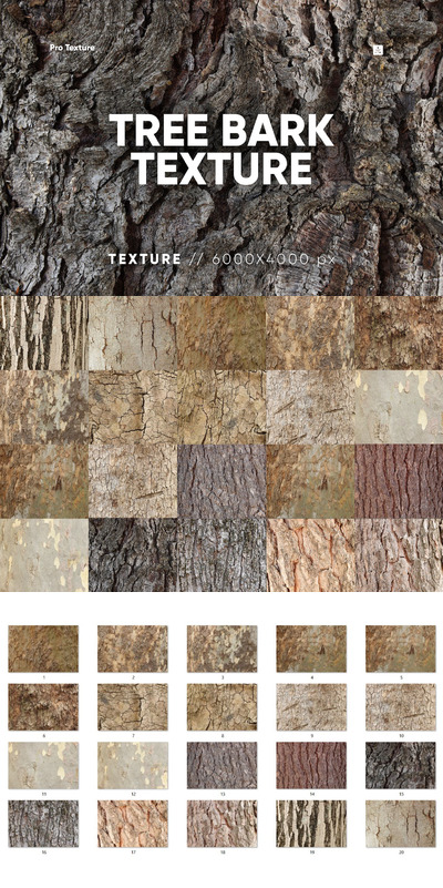 多种树皮纹理 (JPG)