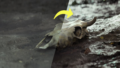 Blender灯光技巧课程工程文件下载（Blend）