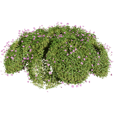 开满粉红色花朵的酢浆草 植物景观3D模型（OBJ,FBX,MAX）