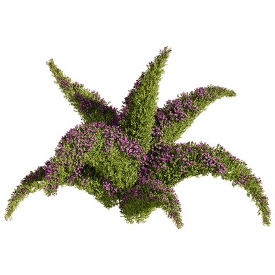 开紫色小花的垂盆草植物景观3D模型（OBJ,FBX,MAX）