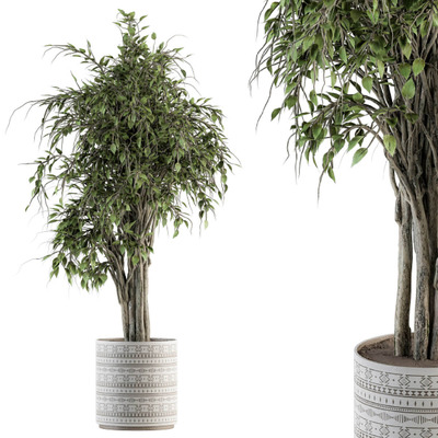 垂叶榕树盆景3D模型（OBJ,MAX）