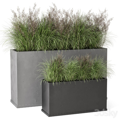 户外观赏草植物花坛3D模型（FBX,MAX）