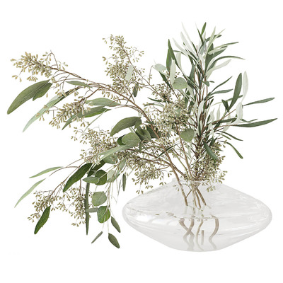 玻璃瓶中的桉树花束和橄榄树枝3D模型（MAX）