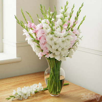 玻璃瓶中的白色和粉色剑兰花束3D模型（FBX,MAX）