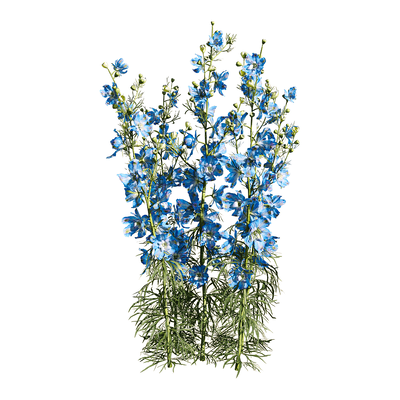 开蓝色花朵的飞燕草植物3D模型（OBJ,FBX,MAX）