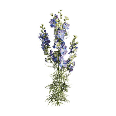 开紫色花朵的飞燕草植物3D模型（OBJ,FBX,MAX）