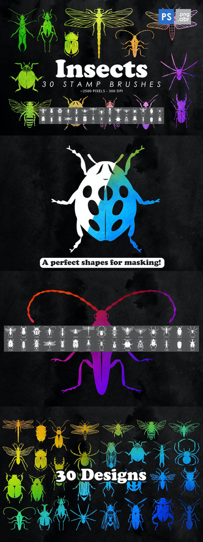 30昆虫和昆虫Photoshop图章画笔 (ABR,PNG)