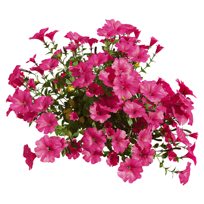 紫色矮牵牛花丛3D模型（OBJ,FBX,MAX）