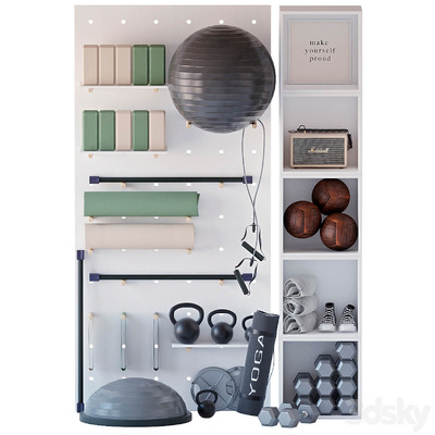 包含瑜伽垫 健身球等在内的家庭健身设备3D模型（OBJ,FBX,MAX）