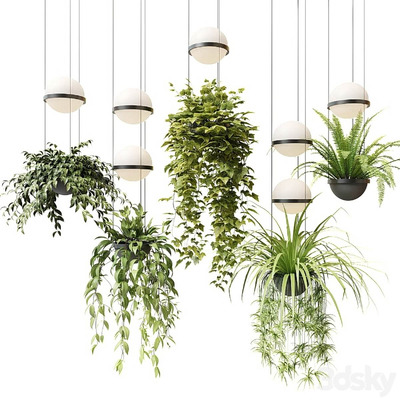 Vibia Palma带绿植的吊灯3D模型（OBJ,MAX）