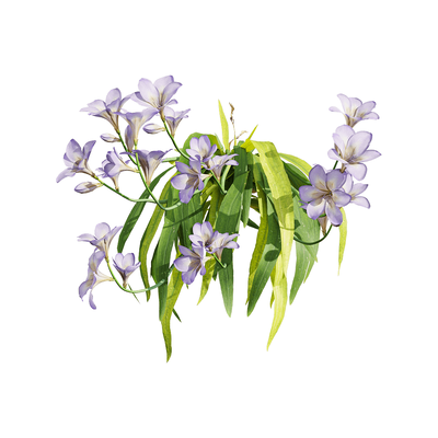 开紫色花朵的香雪兰 小苍兰植物3D模型（OBJ,FBX,MAX）