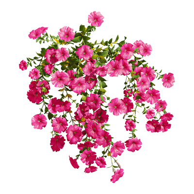 开粉色花朵的矮牵牛植物3D模型（OBJ,FBX,MAX）