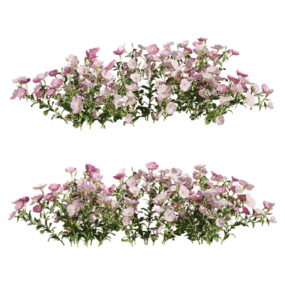 红花月见草花丛3D模型（OBJ,FBX,MAX）