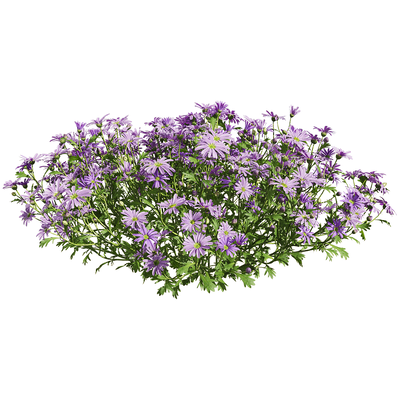 紫色姬小菊花丛3D模型（OBJ,FBX,MAX）