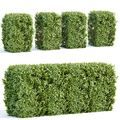 绿植树篱3D模型（OBJ,MAX）