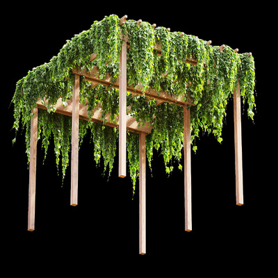顶部长满葡萄叶的凉棚3D模型（FBX,MAX）