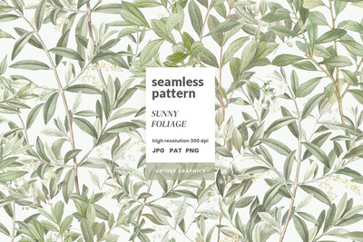 向阳叶片植物抽象背景 (JPG,PNG)