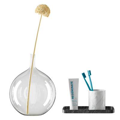 包含玻璃瓶中的花朵 牙膏和牙刷的浴室装饰组合3D模型（OBJ,MAX）