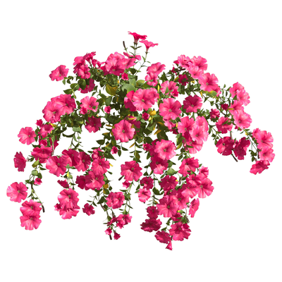 玫红色矮牵牛花丛3D模型（OBJ,FBX,MAX）