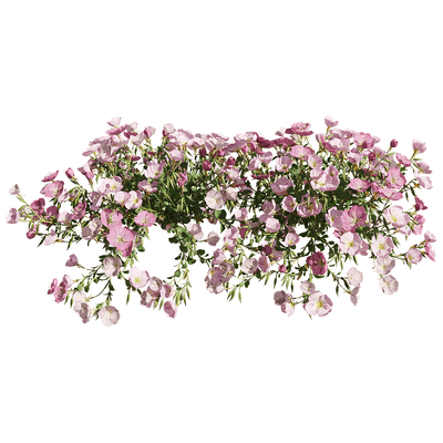 粉花月见草花丛3D模型（OBJ,FBX,MAX）