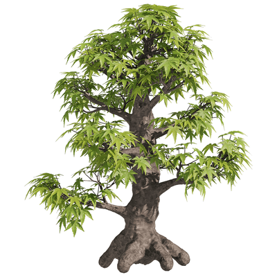 鸡爪槭树3D模型（OBJ,FBX,MAX）