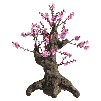 开粉色花朵的梅树3D模型（OBJ,FBX,MAX）