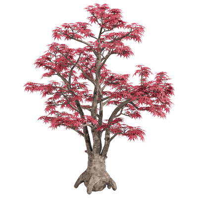 红叶鸡爪槭树3D模型（OBJ,FBX,MAX）