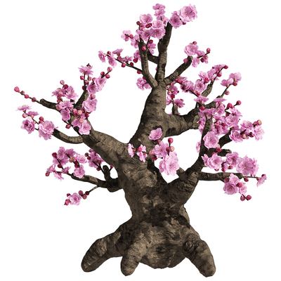 开粉色花朵的梅树3D模型（OBJ,FBX,MAX）