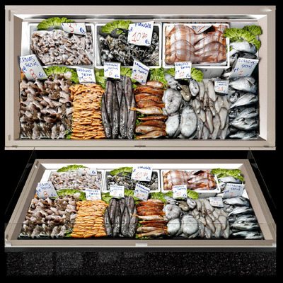 冷柜中的鱼和海鲜3D模型（FBX,MAX）