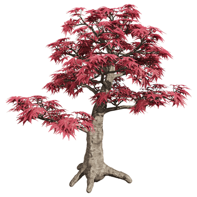 红叶鸡爪槭树3D模型（OBJ,FBX,MAX）