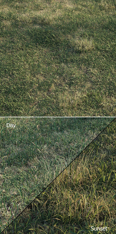 春天的绿草地3D模型（OBJ,MAX）